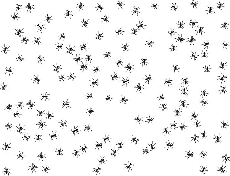 Ant Decal
