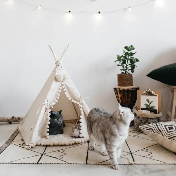 Bohemian Pet TeePee