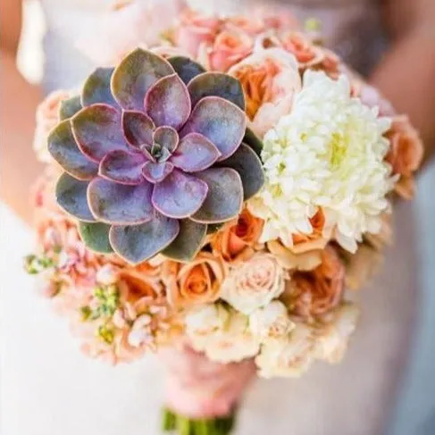 Green Succulent Flower