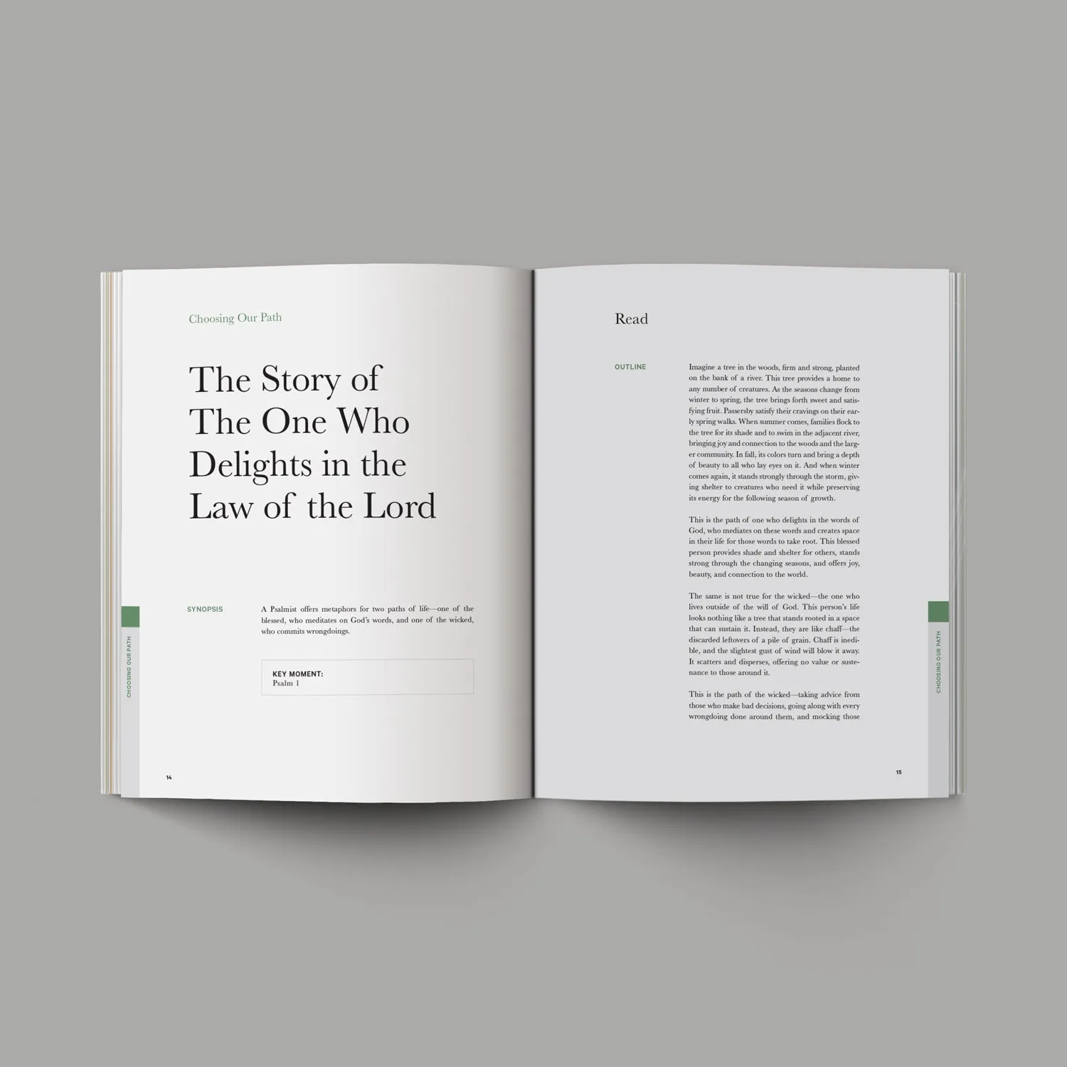The Good and Beautiful Bible Studies - Bundle