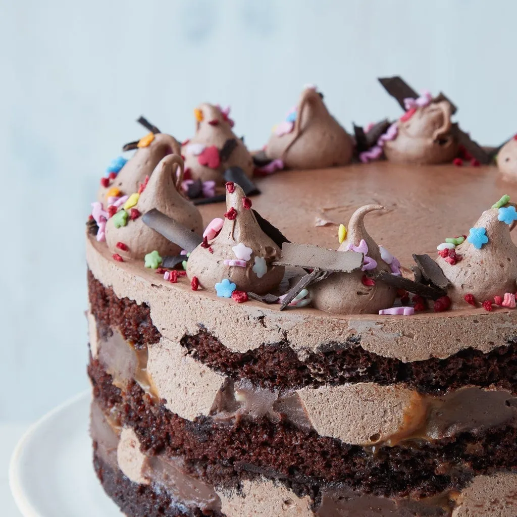 Vegan Chocolate Caramel Cake