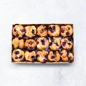 Vegan GF Mini Muffins